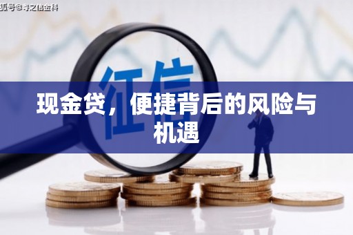 休宁现金贷，便捷背后的风险与机遇