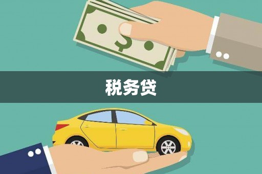 休宁税务贷