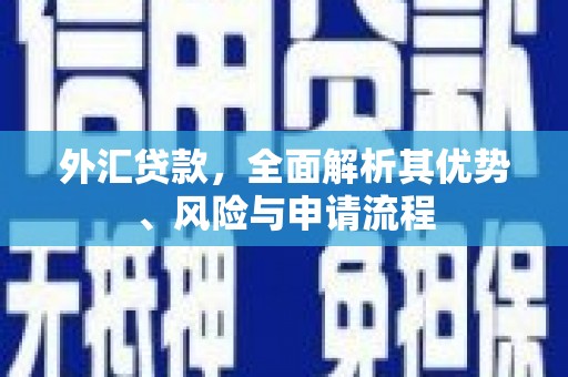 休宁外汇贷款，全面解析其优势、风险与申请流程
