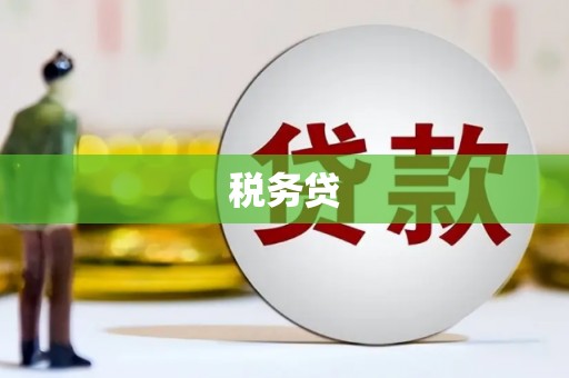休宁税务贷