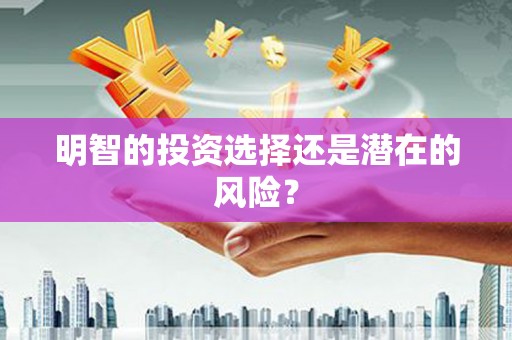 休宁明智的投资选择还是潜在的风险？