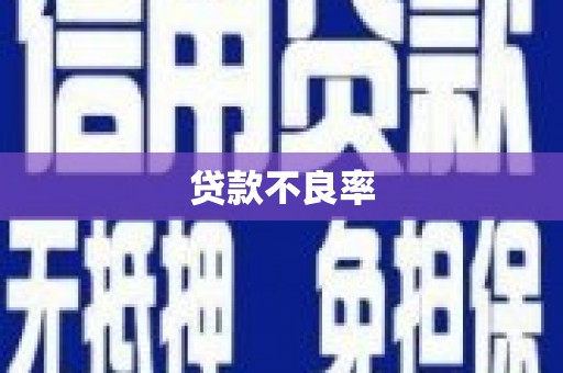 休宁贷款不良率