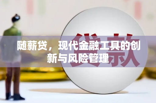 休宁随薪贷，现代金融工具的创新与风险管理