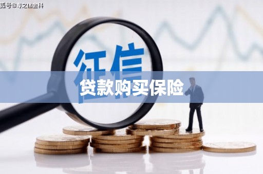 休宁贷款购买保险