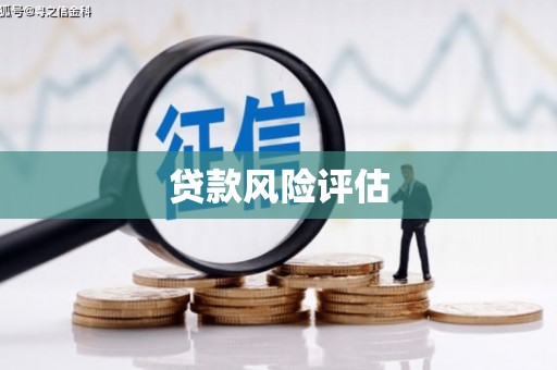 休宁贷款风险评估