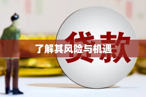 休宁了解其风险与机遇