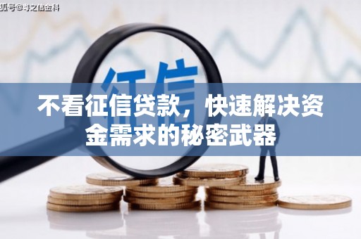 休宁不看征信贷款，快速解决资金需求的秘密武器