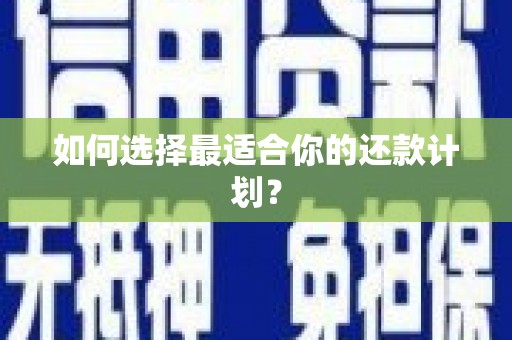 休宁如何选择最适合你的还款计划？