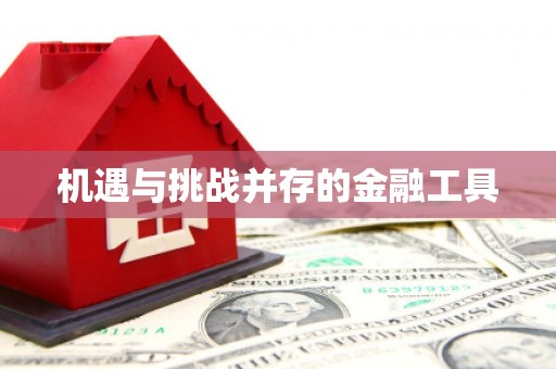 休宁机遇与挑战并存的金融工具