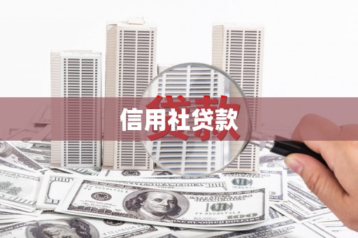 休宁信用社贷款