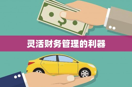 休宁灵活财务管理的利器