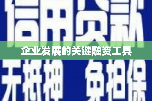休宁企业发展的关键融资工具