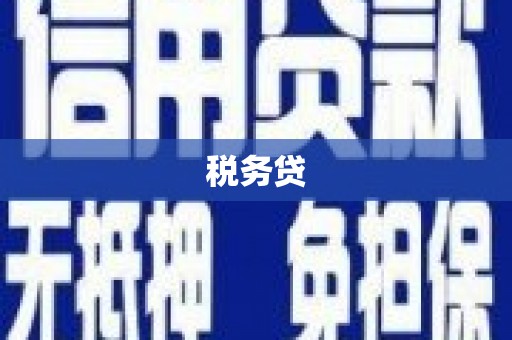 休宁税务贷
