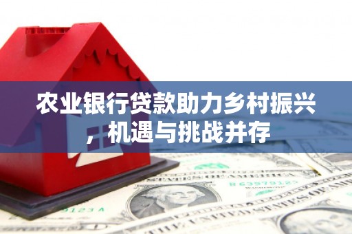 休宁农业银行贷款助力乡村振兴，机遇与挑战并存