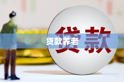 休宁贷款养老
