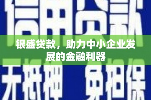 休宁银盛贷款，助力中小企业发展的金融利器