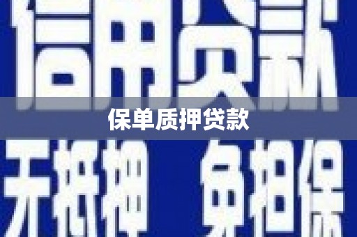 休宁保单质押贷款
