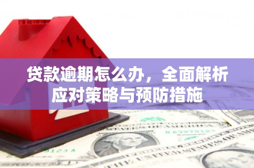 休宁贷款逾期怎么办，全面解析应对策略与预防措施