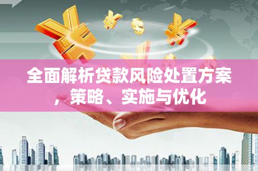 休宁全面解析贷款风险处置方案，策略、实施与优化