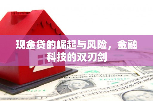 休宁现金贷的崛起与风险，金融科技的双刃剑