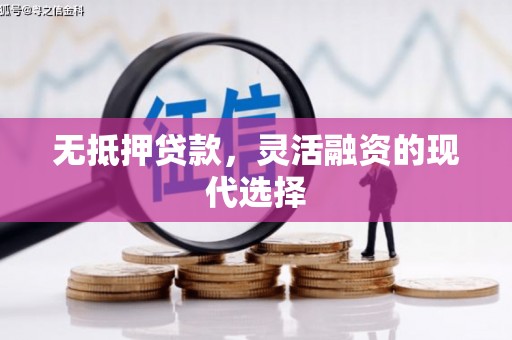 休宁无抵押贷款，灵活融资的现代选择