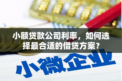 休宁小额贷款公司利率，如何选择最合适的借贷方案？