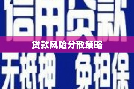 休宁贷款风险分散策略
