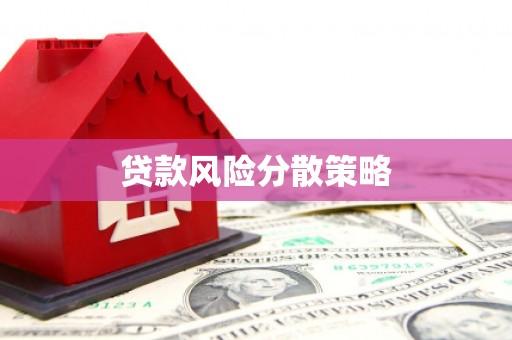 休宁贷款风险分散策略