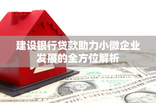 休宁建设银行贷款助力小微企业发展的全方位解析