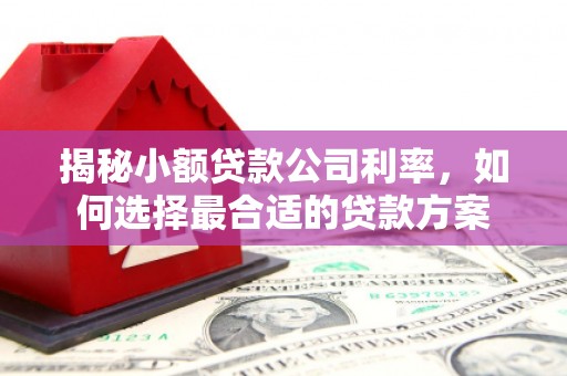 休宁揭秘小额贷款公司利率，如何选择最合适的贷款方案