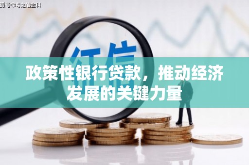 休宁政策性银行贷款，推动经济发展的关键力量