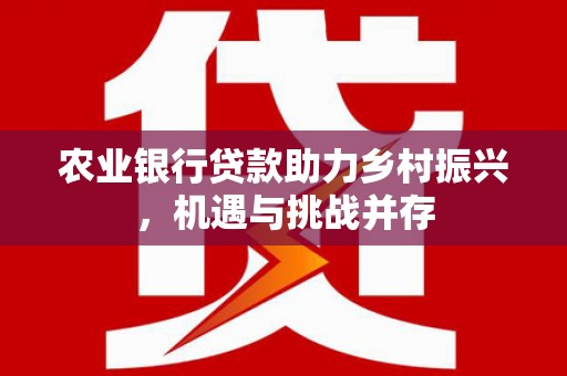 休宁农业银行贷款助力乡村振兴，机遇与挑战并存
