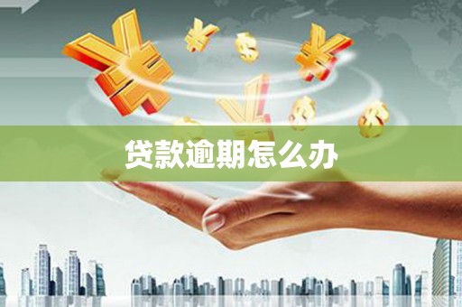 休宁贷款逾期怎么办