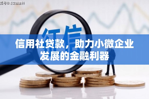 休宁信用社贷款，助力小微企业发展的金融利器