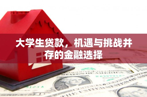 休宁大学生贷款，机遇与挑战并存的金融选择