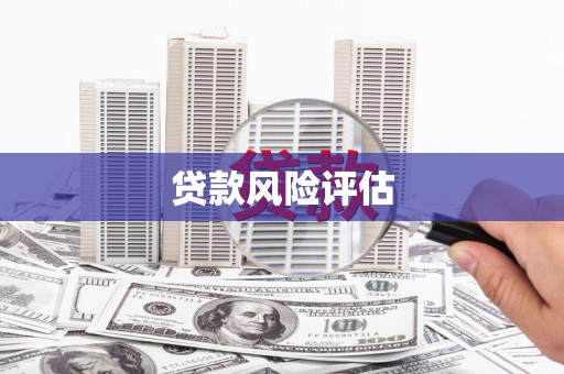 休宁贷款风险评估