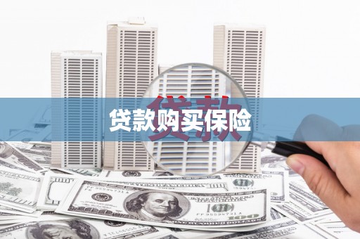 休宁贷款购买保险