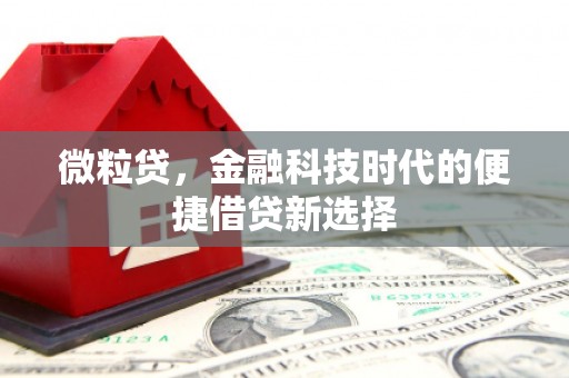 休宁微粒贷，金融科技时代的便捷借贷新选择
