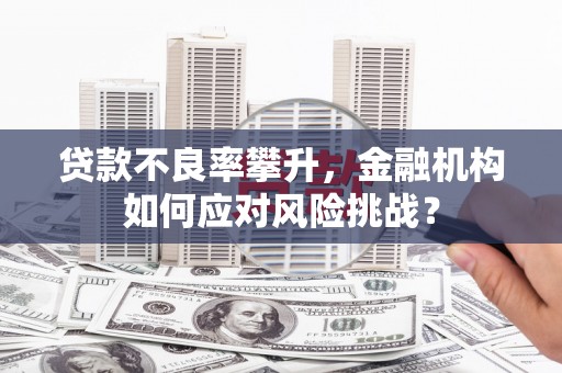 休宁贷款不良率攀升，金融机构如何应对风险挑战？