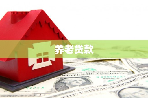 休宁养老贷款