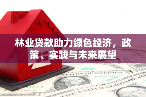 休宁林业贷款助力绿色经济，政策、实践与未来展望