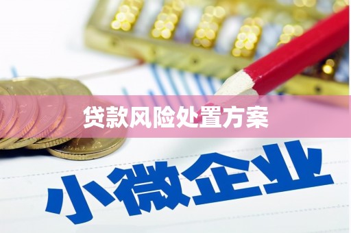 休宁贷款风险处置方案