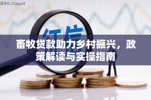 休宁畜牧贷款助力乡村振兴，政策解读与实操指南