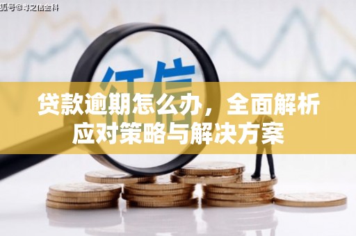 休宁贷款逾期怎么办，全面解析应对策略与解决方案