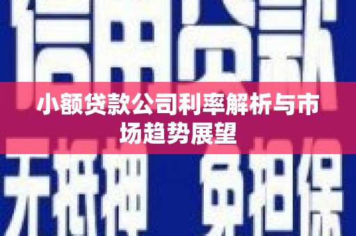 休宁小额贷款公司利率解析与市场趋势展望