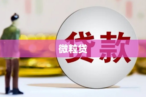 休宁微粒贷