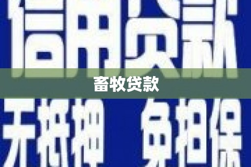 休宁畜牧贷款
