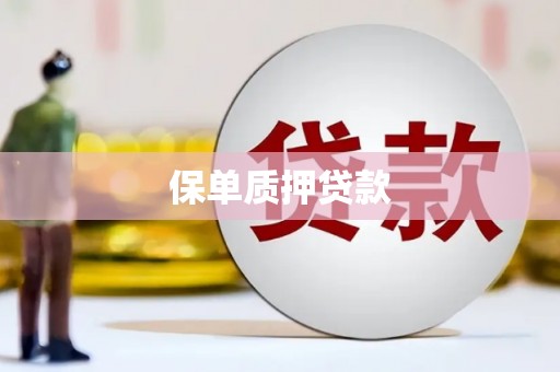 休宁保单质押贷款