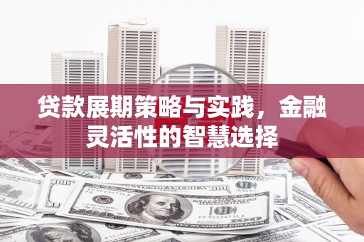 休宁贷款展期策略与实践，金融灵活性的智慧选择