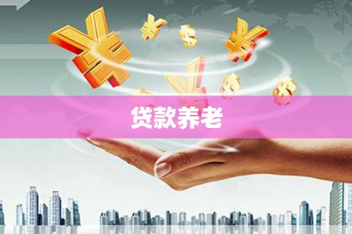 休宁贷款养老